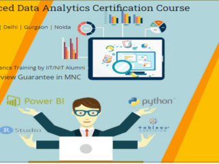 ai-vs-data-analyst-why-human-expertise-will-still-be-in-demand-in-2025-excel-by-sla-consultants-india