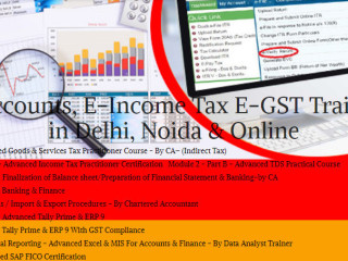 job-oriented-accounting-course-in-delhi-gst-and-income-tax-course-in-delhi