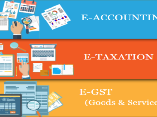 practical-accounting-course-in-delhi-gst-and-custom-practitioner-course-with-certificate-in-delhi100-job-guarantee-course-by-sla-consultants